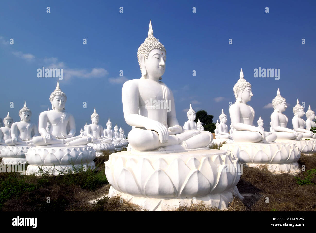 Buddha image in thai temple Stock Photo - Alamy