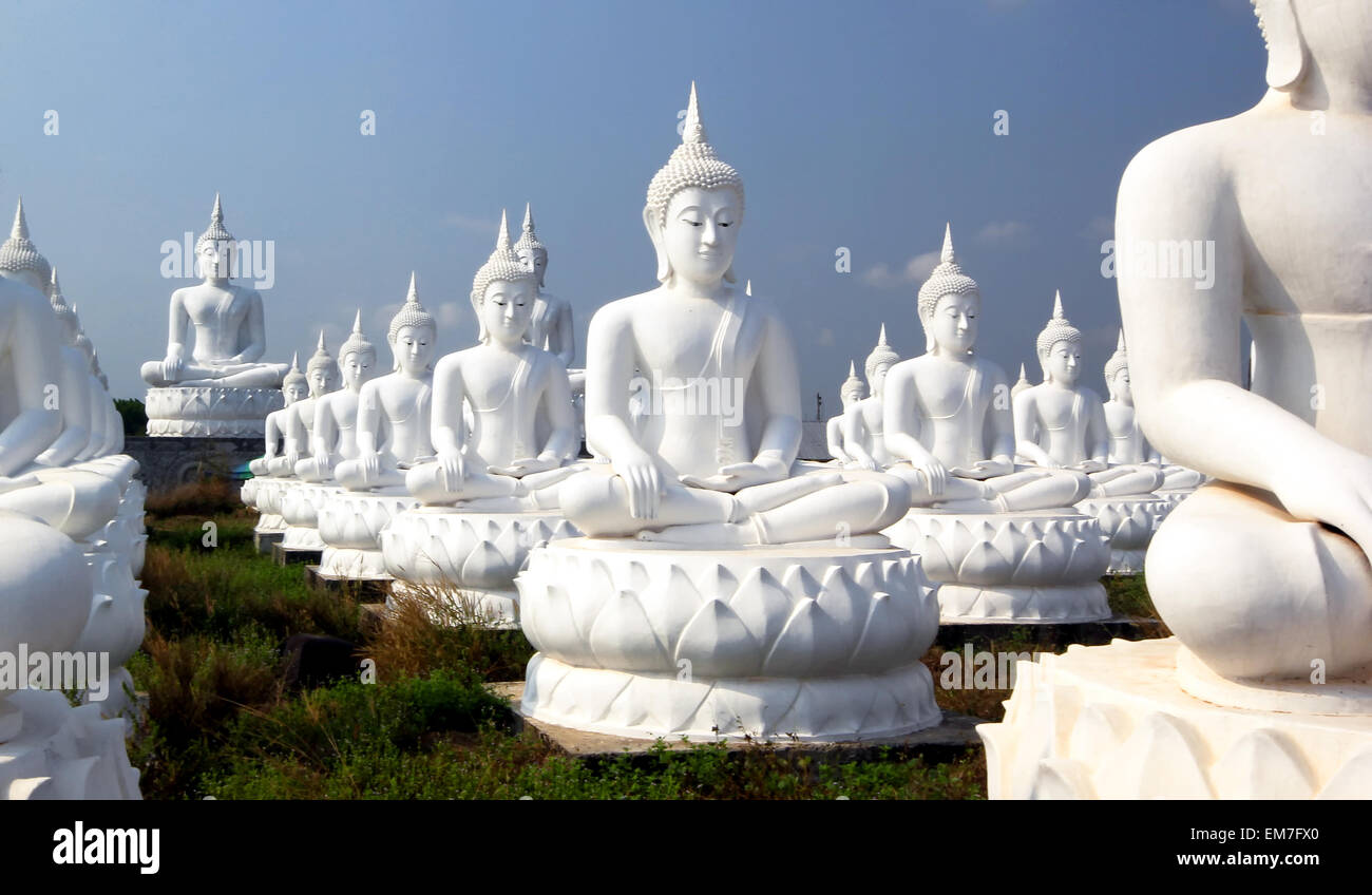Buddha image in thai temple Stock Photo - Alamy
