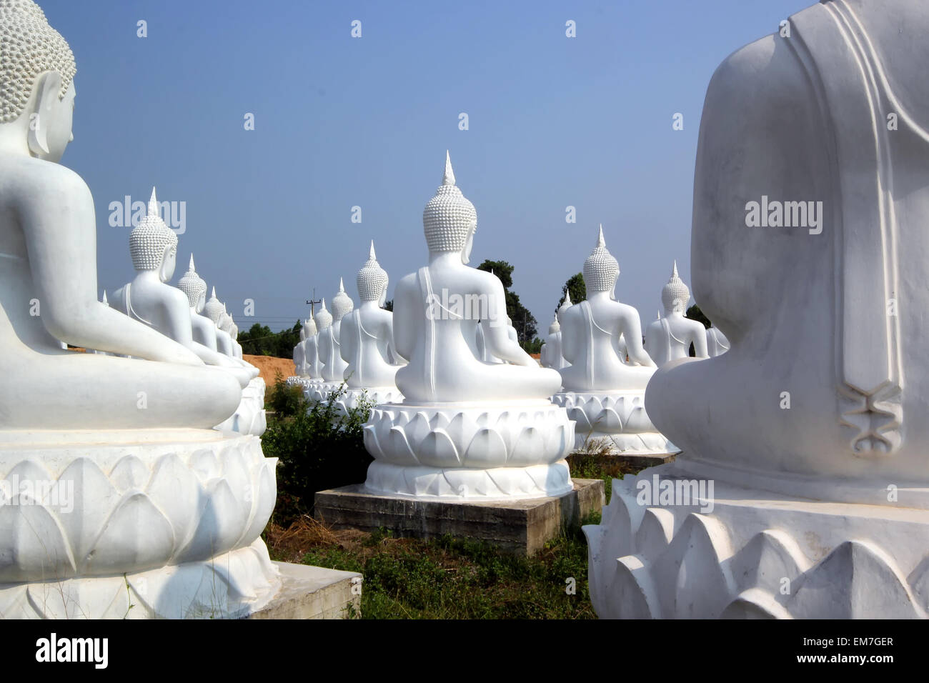 Buddha image in thai temple Stock Photo - Alamy
