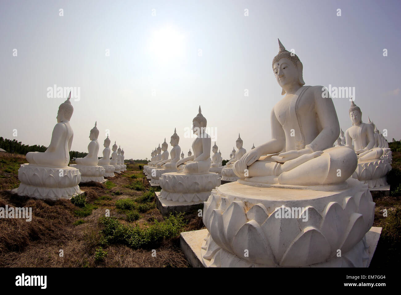 Buddha image in thai temple Stock Photo - Alamy