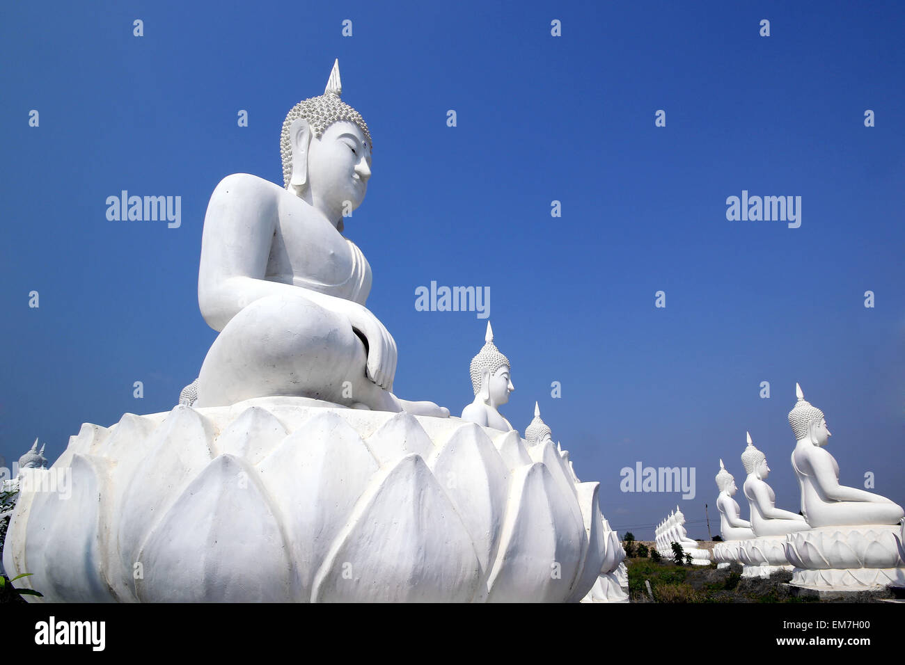 Buddha image in thai temple Stock Photo - Alamy