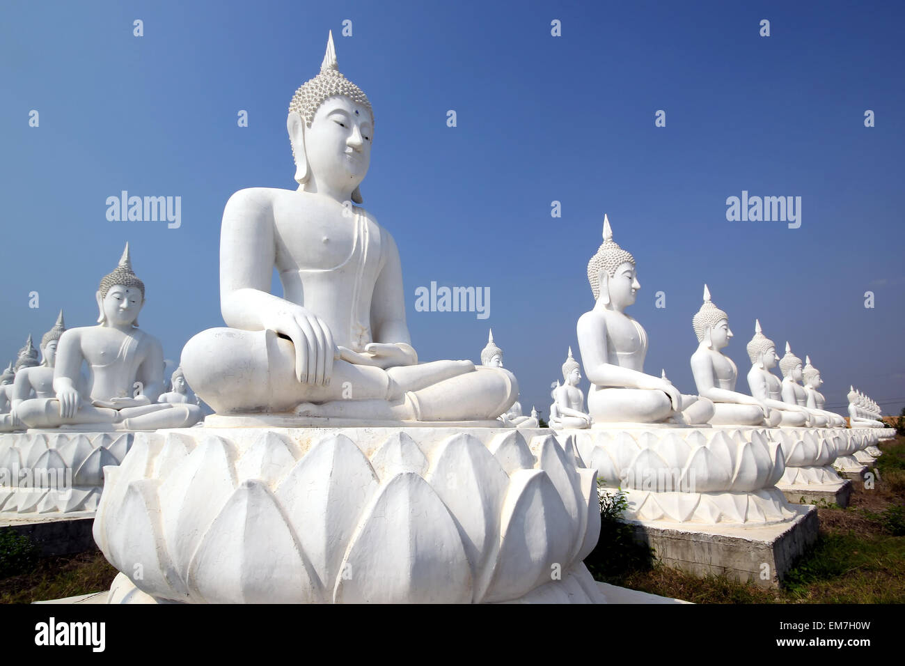 Buddha image in thai temple Stock Photo - Alamy