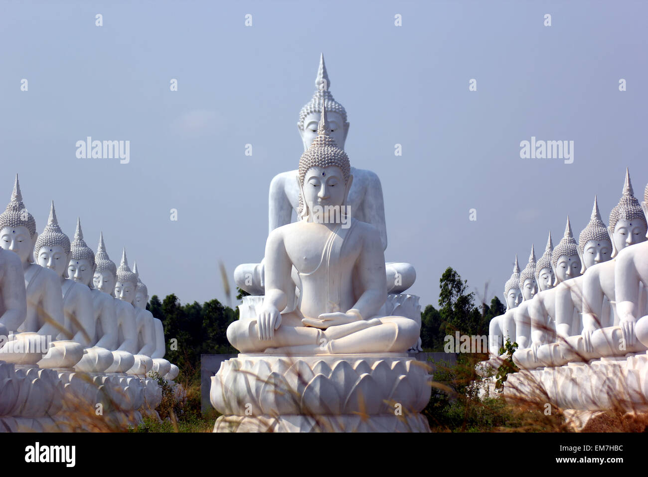 Buddha image in thai temple Stock Photo - Alamy