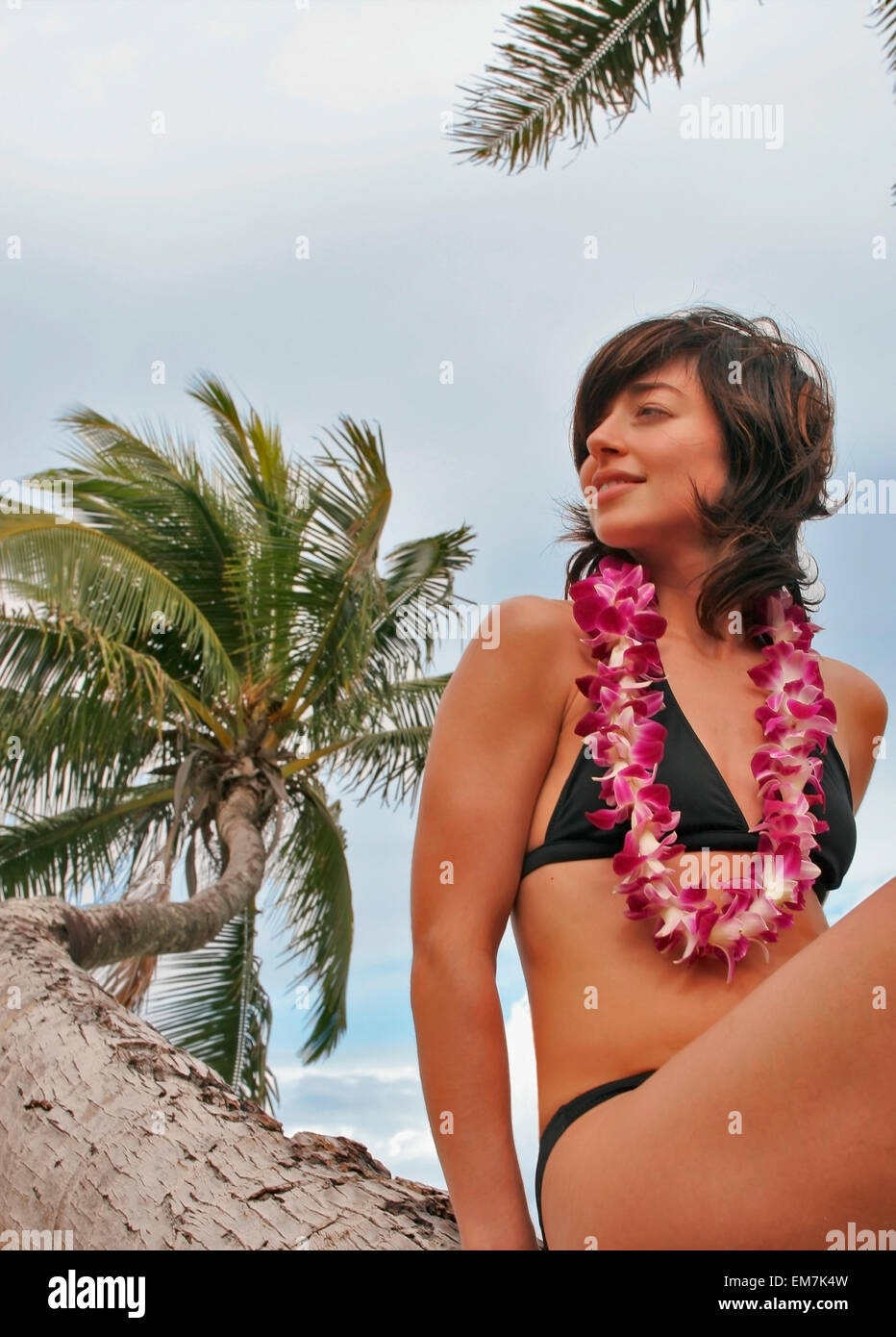 Hawaii, Oahu, Beautiful Woman Wearing Lei Sits On A Palm Tree Looking To The Side. Stock Photo