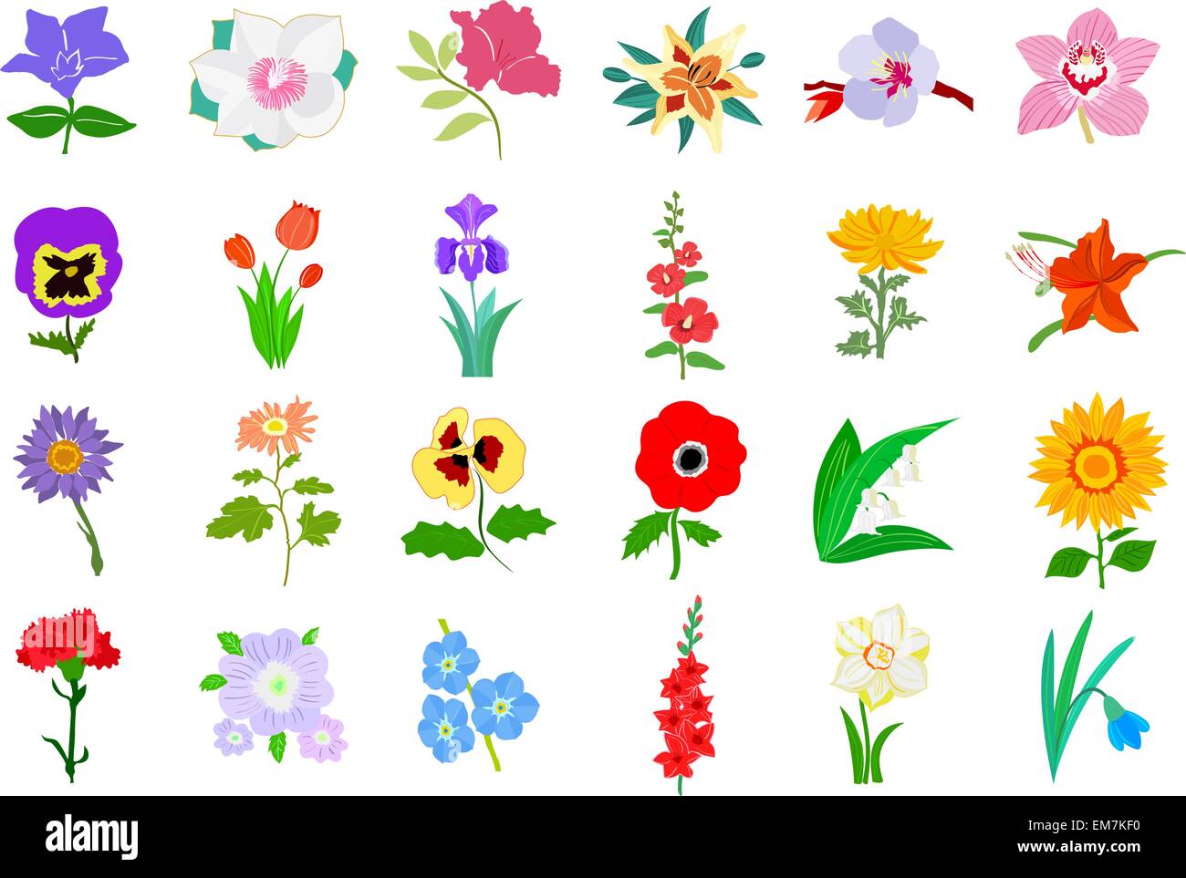 Set of colored illustration of flowers Stock Vector