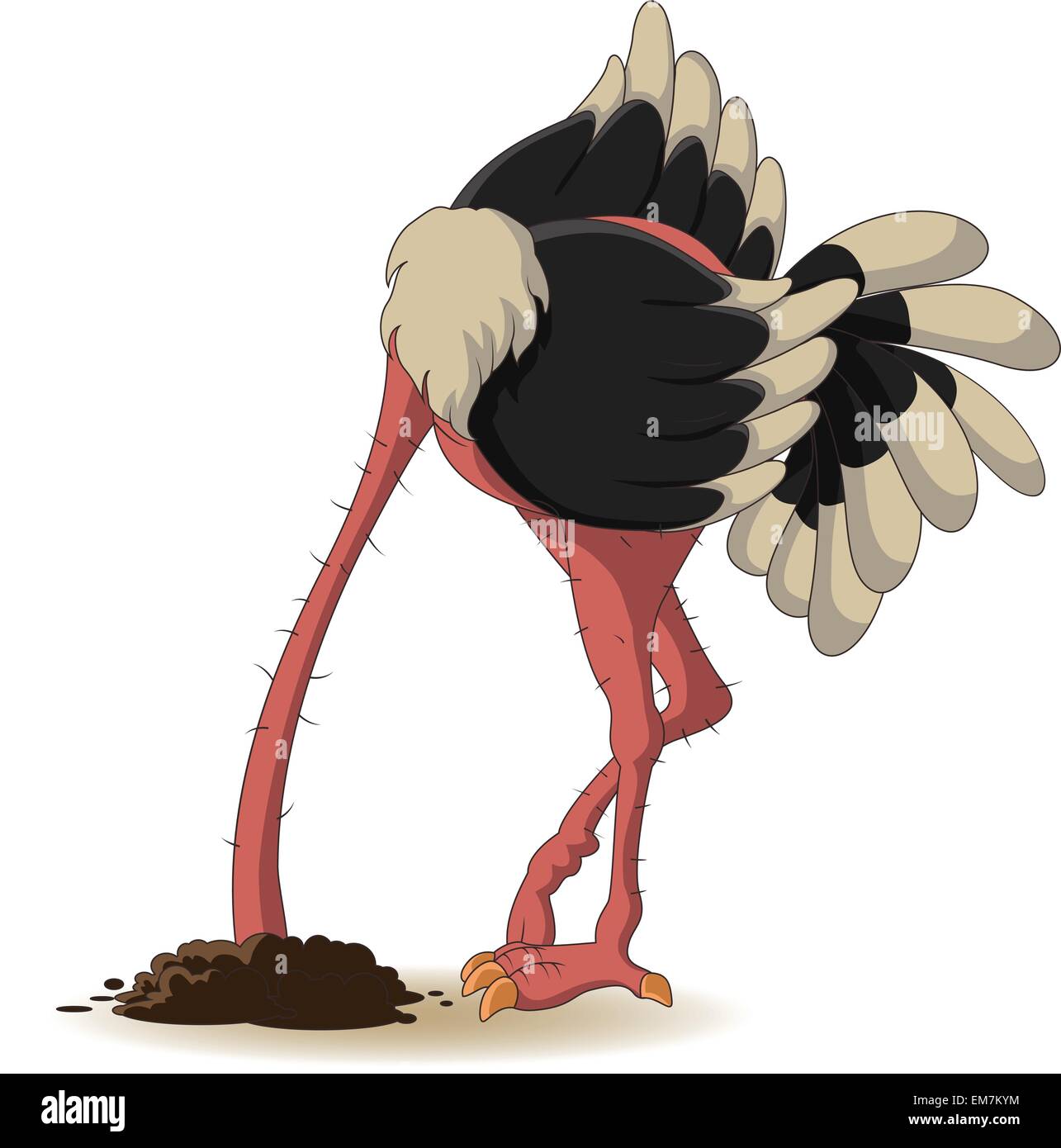 Ostrich cartoon hi-res stock photography and images - Alamy