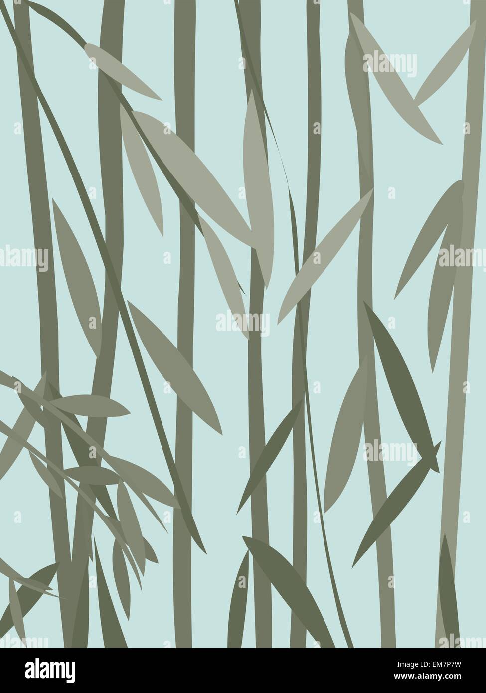 Willow leaves with hi-res stock photography and images - Alamy