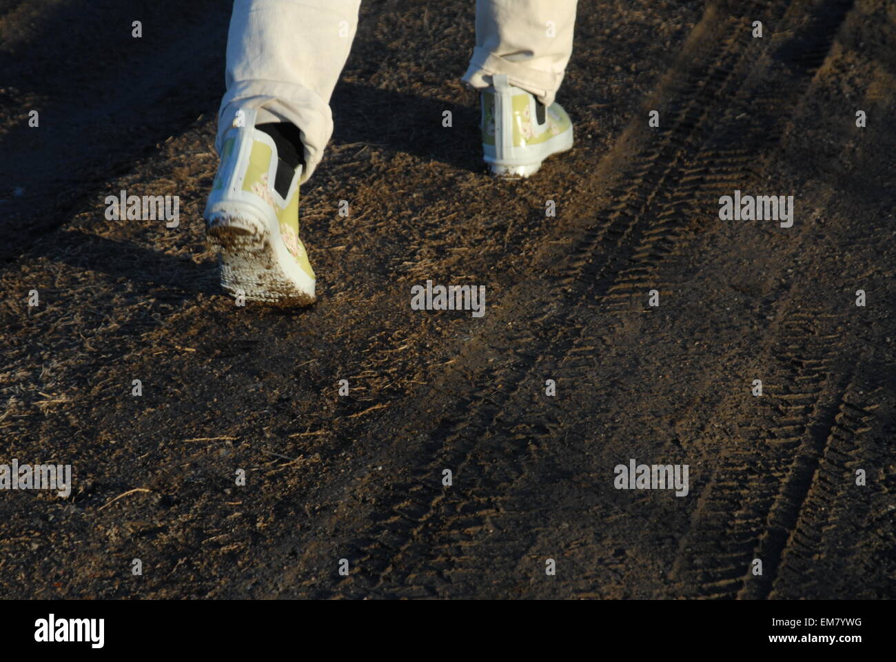 Walking on mud road. Stock Photo