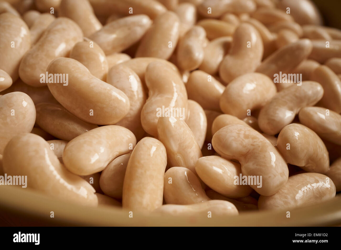 Cooked White Kidney Beans, also called Cannellini Stock Photo