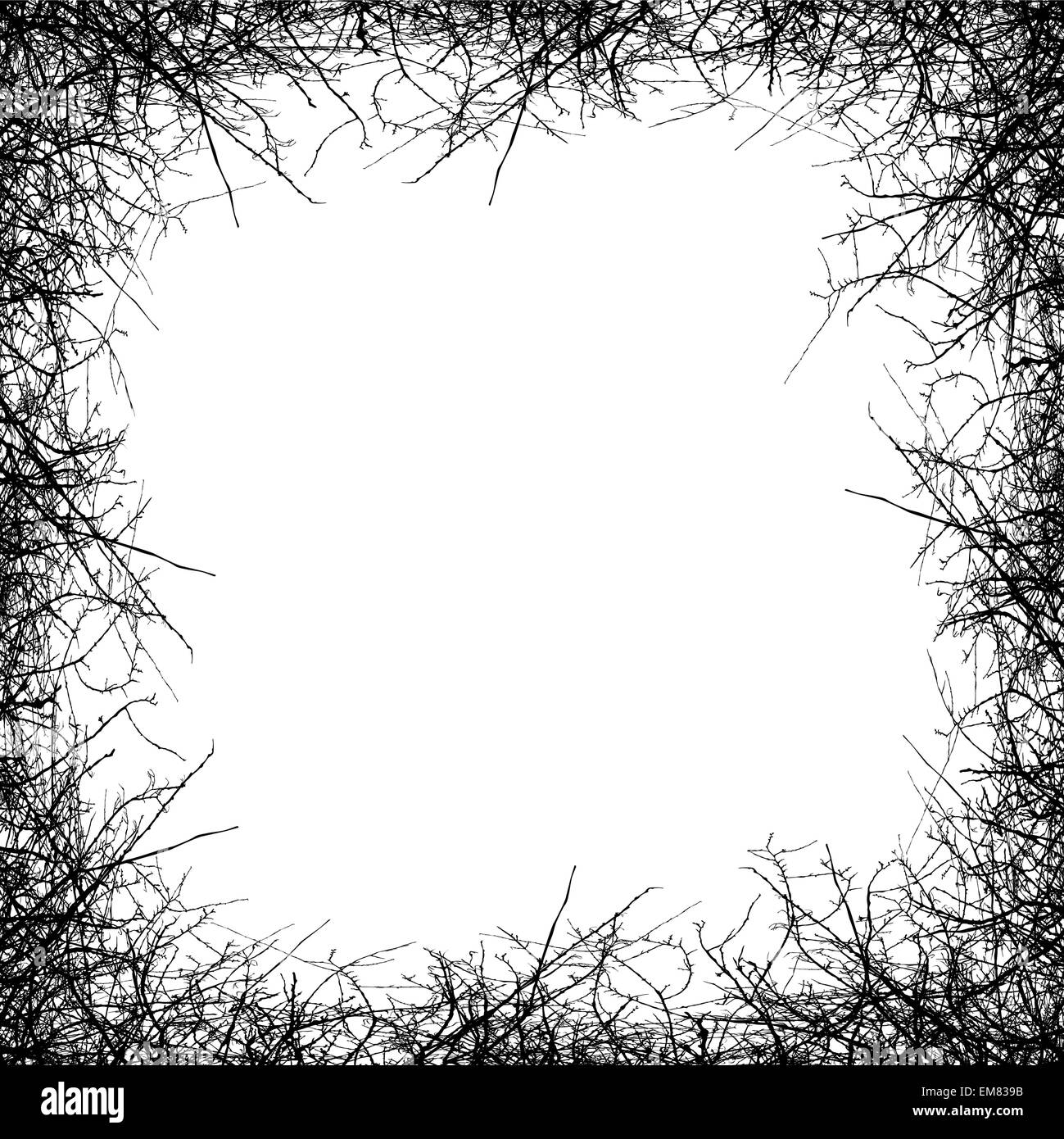 Leafless tree border Stock Vector Image & Art - Alamy