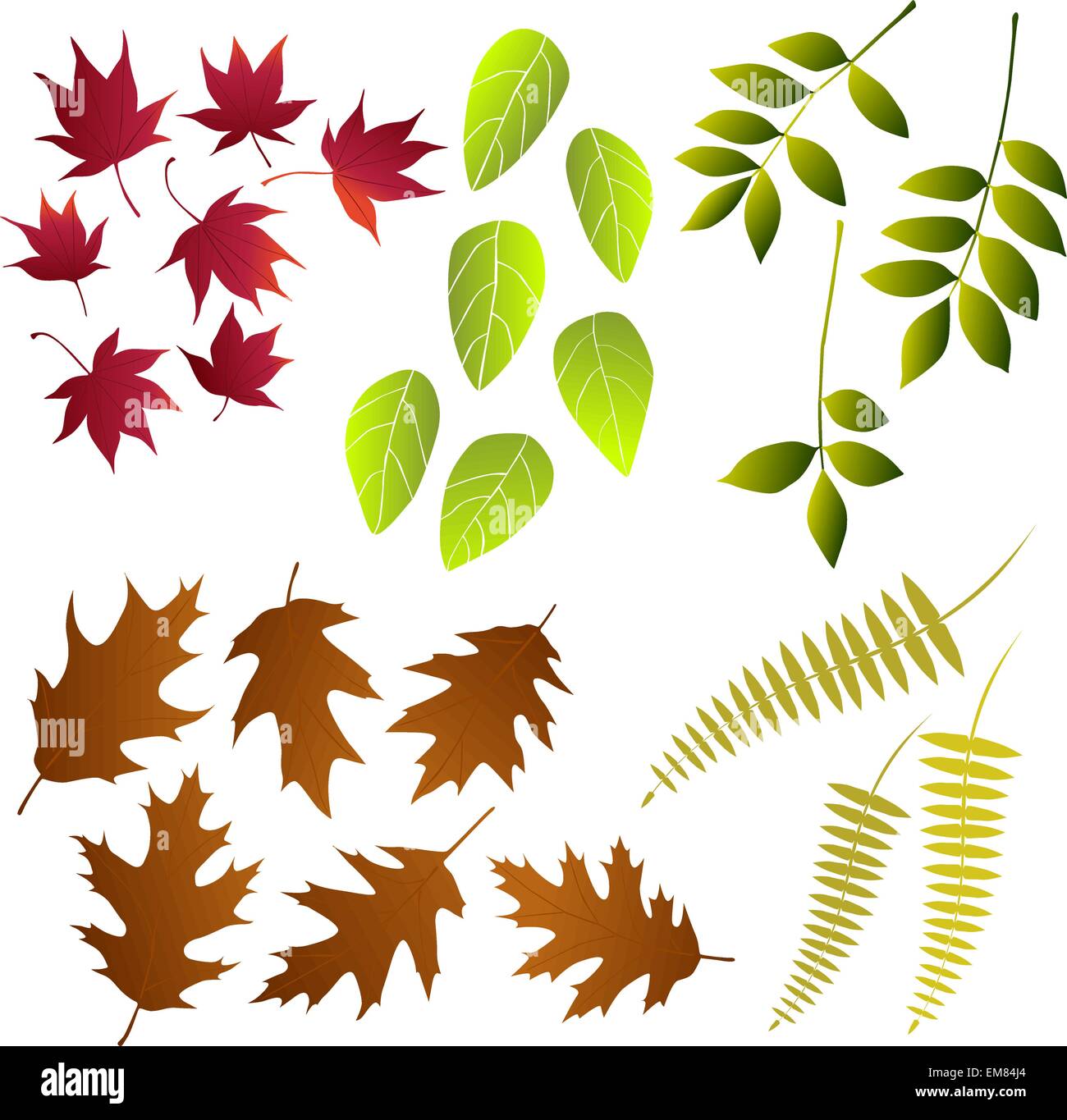 Leaf, collection for designers Stock Vector Image & Art - Alamy