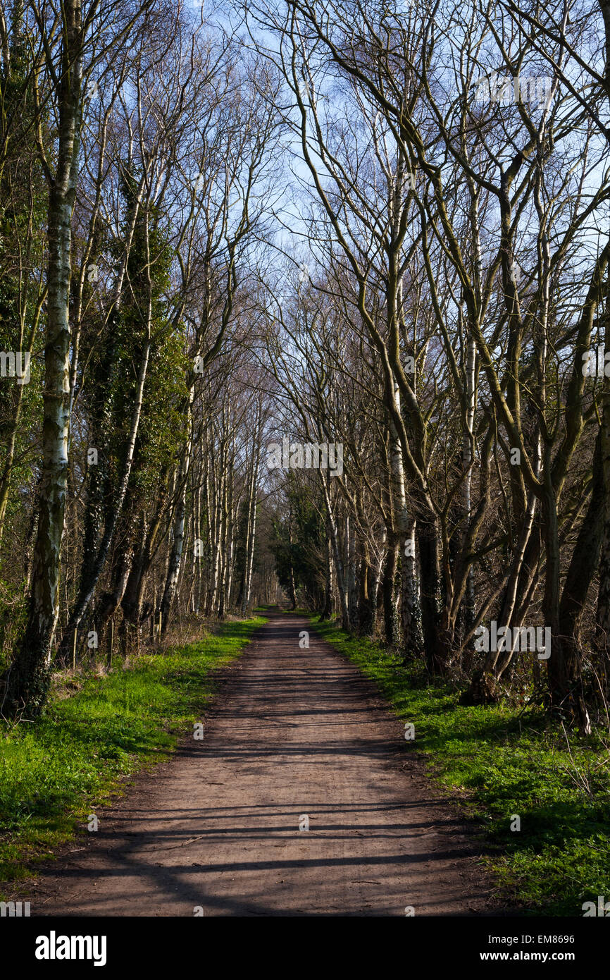 The Derwent Walk between Hamsterley Mill and Rowlands Gill. Stock Photo