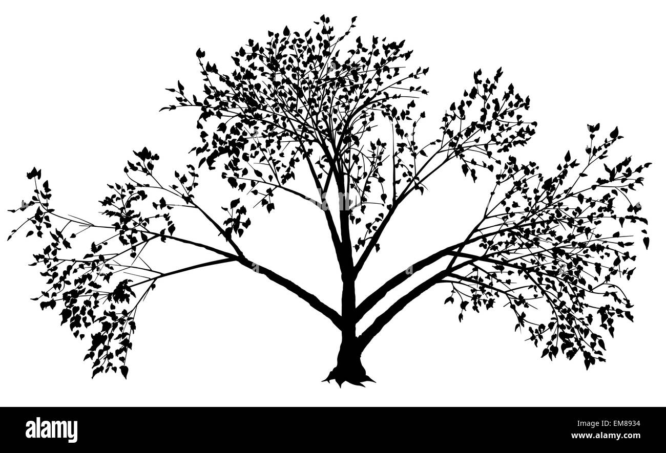 Tree silhouette illustration hi-res stock photography and images - Alamy