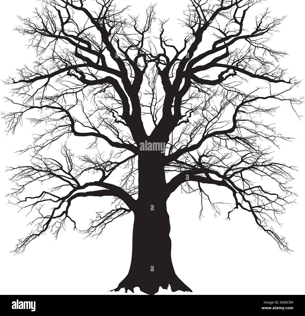 Old branched tree Stock Vector