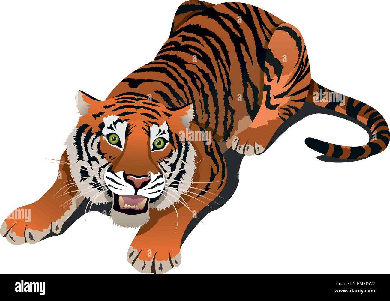 Roaring tiger Stock Vector