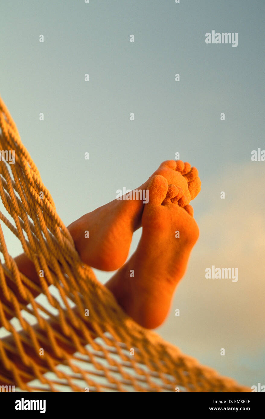 Bottom of feet hires stock photography and images Alamy