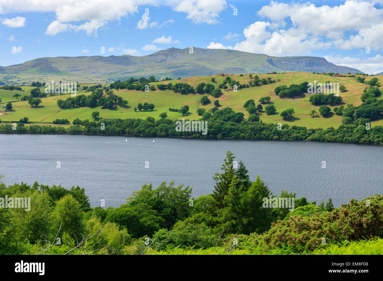 Llyn Tegid Lake Bala Gwynedd Wales Stock Photo Alamy