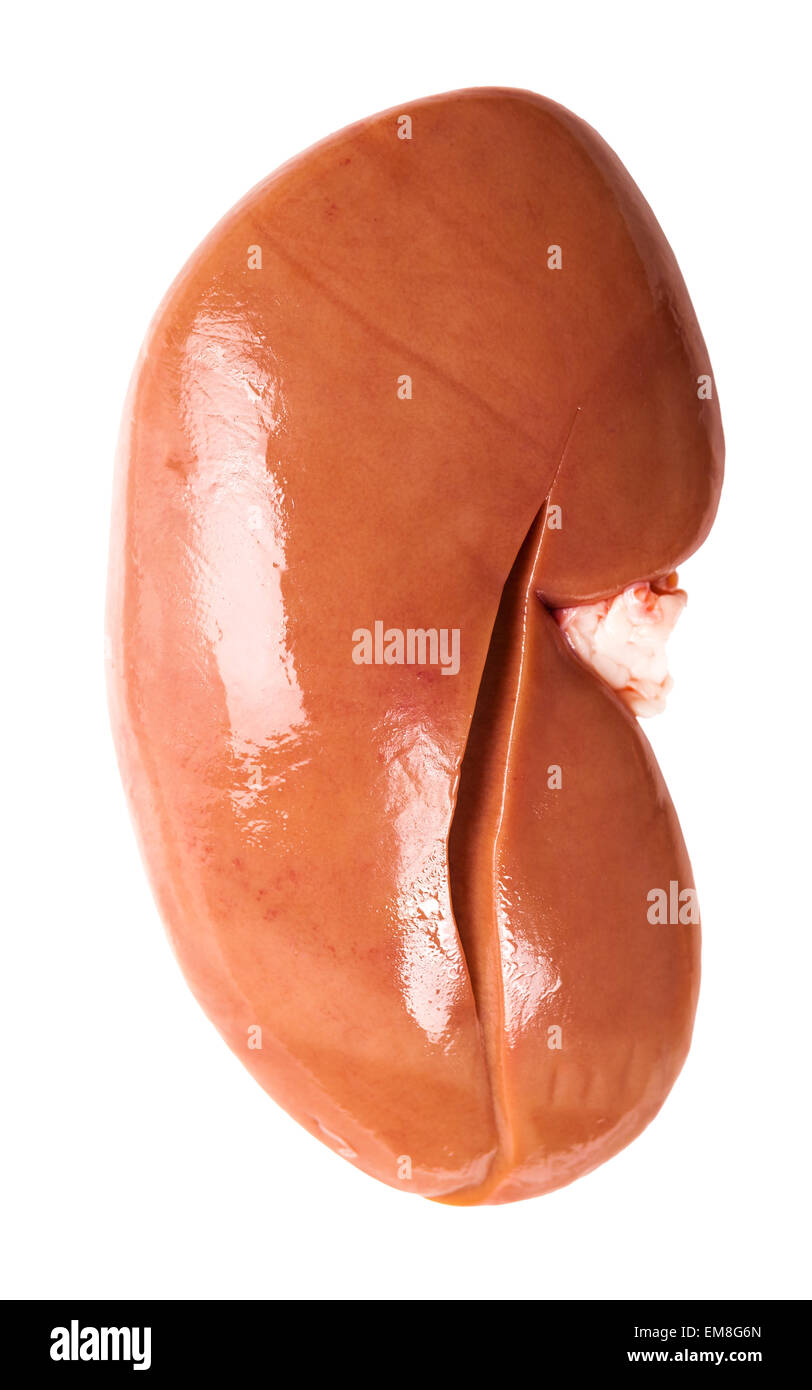 porcine kidney raw closeup isolated on a white background Stock Photo