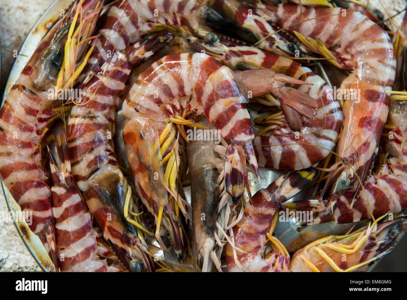 Fresh seafood, for sale in Fort Kochi Kerala India Stock Photo Alamy