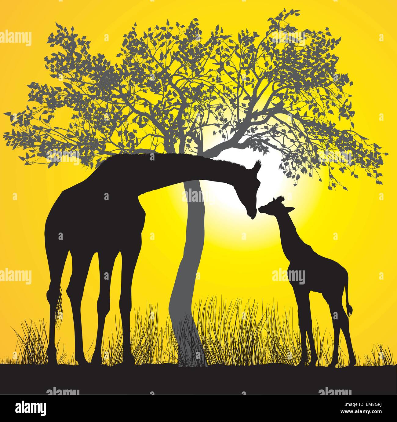 Giraffes and sunset Stock Vector Image & Art - Alamy