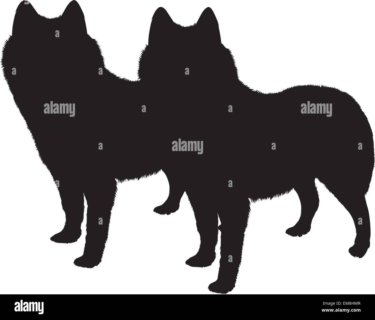 Black silhouette animals hi-res stock photography and images - Alamy