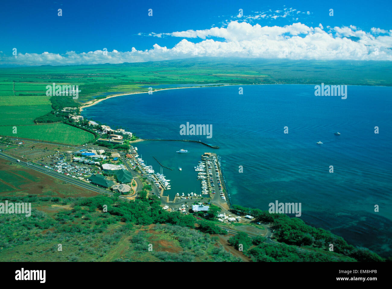 Hawaii, Maui, Maalaea Harbor, Maui Ocean Center Stock Photo Alamy