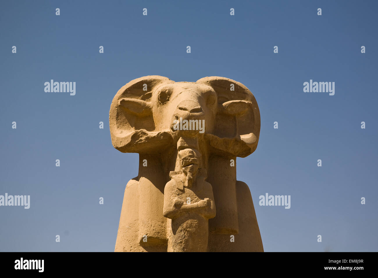 Ramheaded sphinx, symbol of egyptian god Amun, Karnak Temple, Luxor