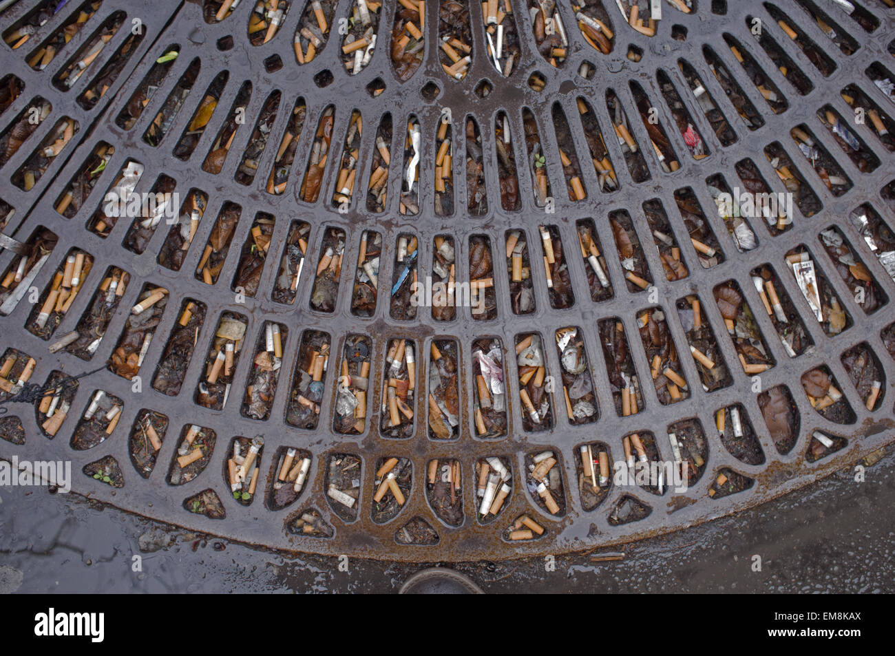 Cigarette ends in a metal grill that surrounds the trees in Paris Stock Photo
