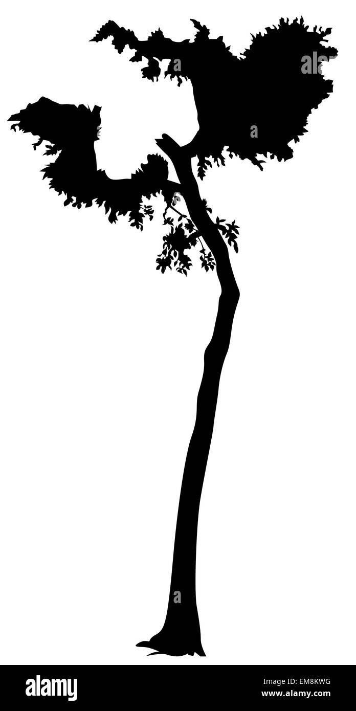 Clipart tree silhouette hi-res stock photography and images - Alamy