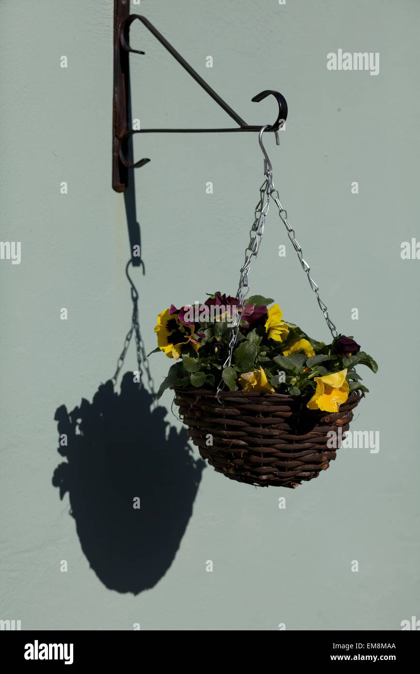hanging basket on bracket in garden Stock Photo Alamy