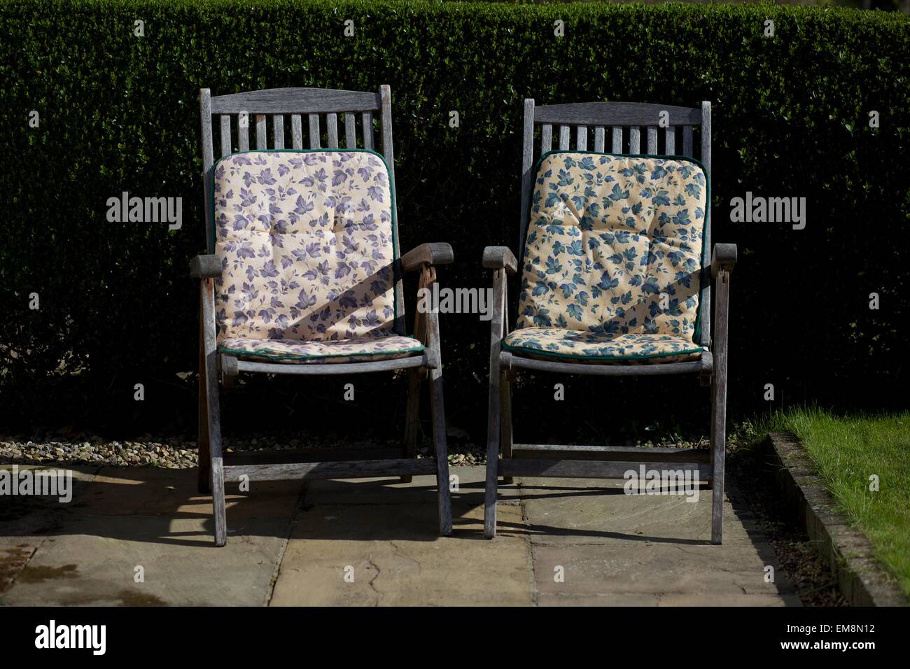 Two deck chairs with soft floral cushions against a hedge in the UK Stock Photo Alamy
