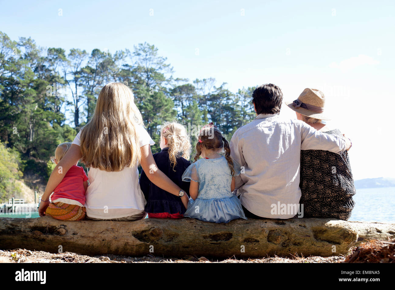 Rear view of family friends sitting on tree trunk at beach, New Zealand Stock Photo