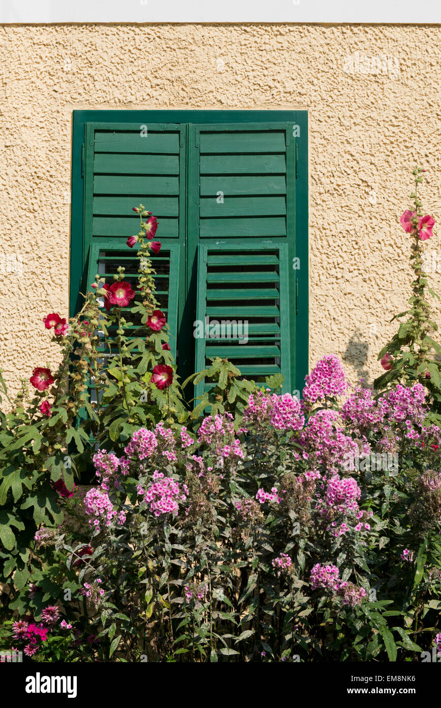 Fenster mit grünen Fensterläden, Malven und Flammenblumen, Bad Aussee, Styria, Salzkammergut, Austria Stock Photo