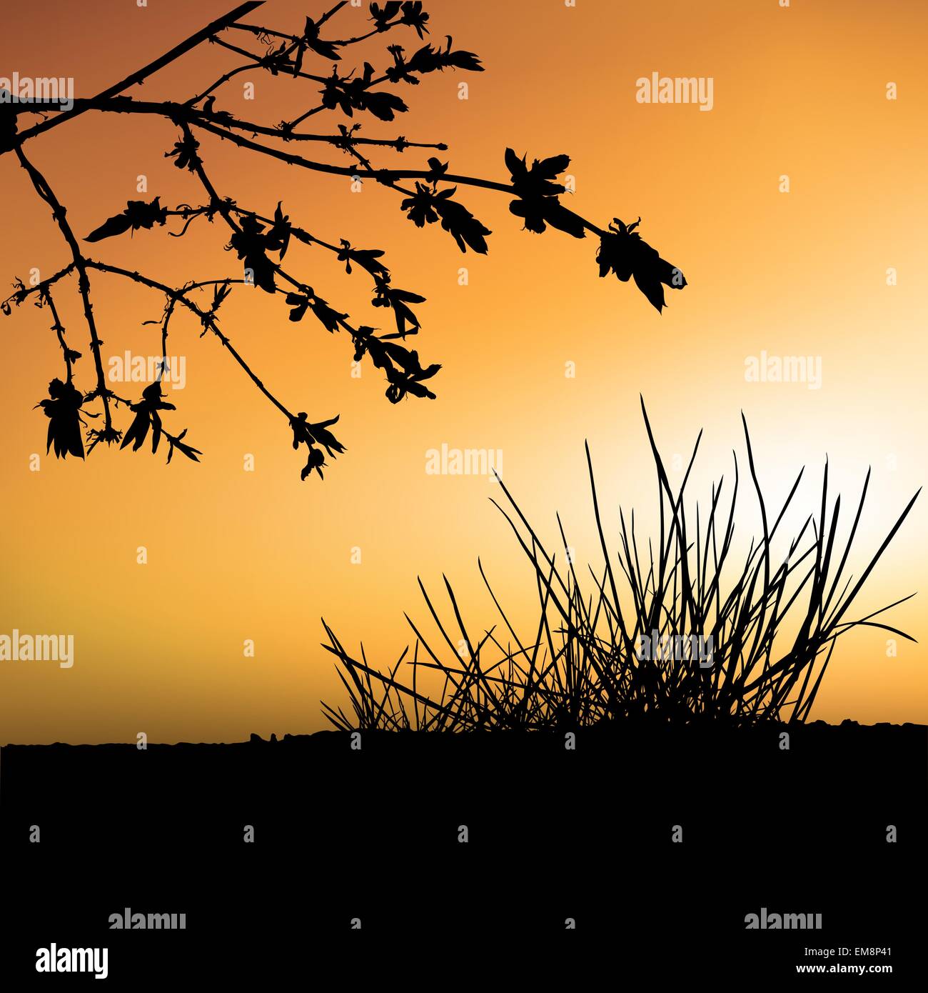 shrub-landscape-design-stock-vector-images-alamy