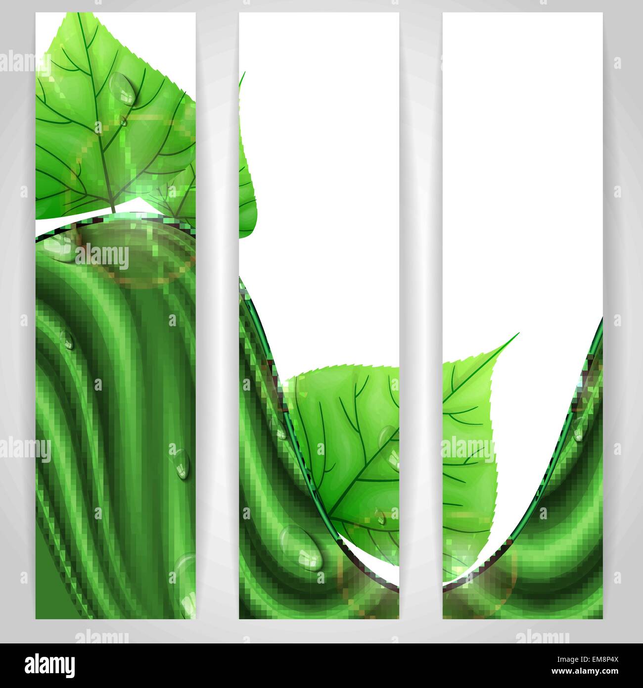 Eco Green Background With Leaves Stock Vector Image & Art - Alamy
