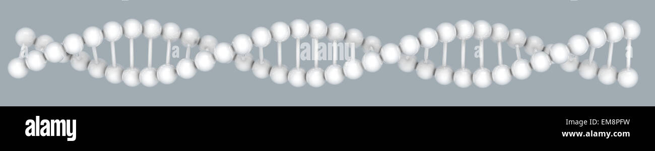 3d DNA model on white background. digitally generated image. Stock Photo