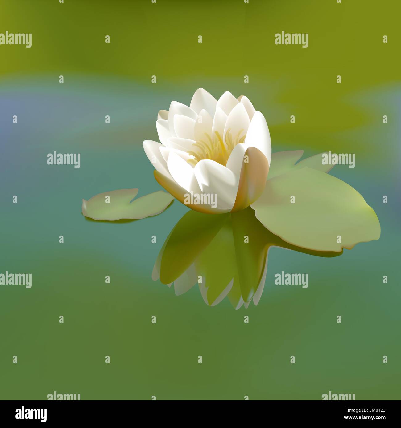 White Lotus Flower Stock Vector