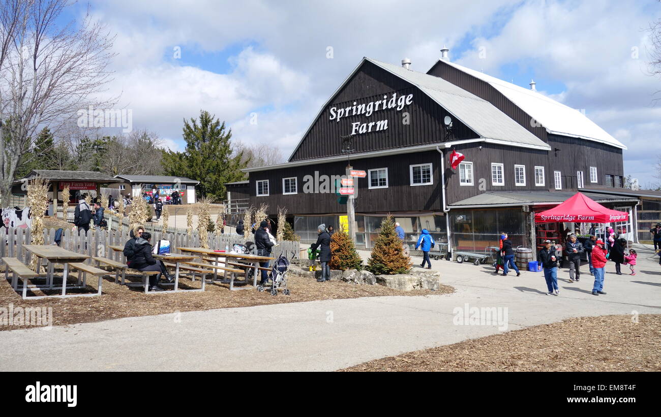 Springridge Farm during the annual Egg Hunt in Ontario, Canada Stock ...