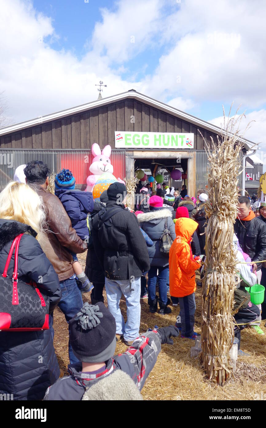 Easter egg hunt at a farm in Ontario, Canada Stock Photo