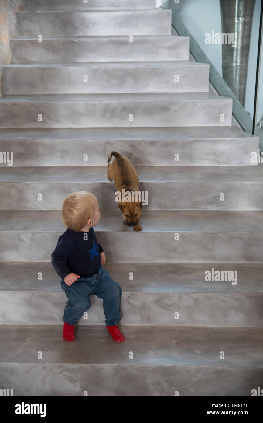 Male toddler sitting on house staircase looking over shoulder at puppy Stock Photo