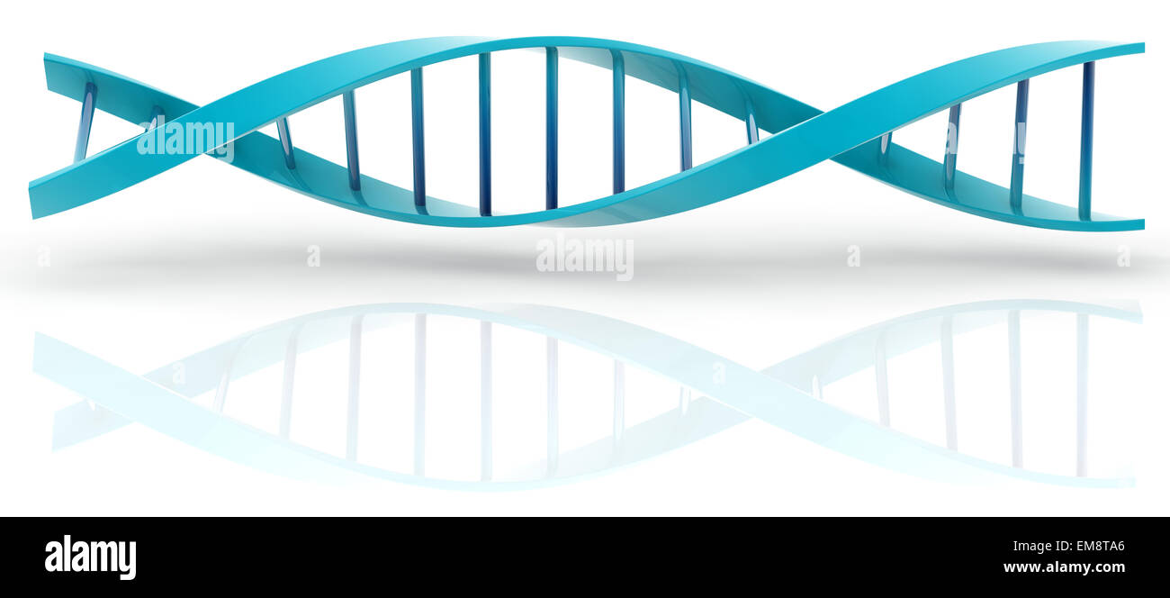 3d DNA model on white background. digitally generated image Stock Photo ...