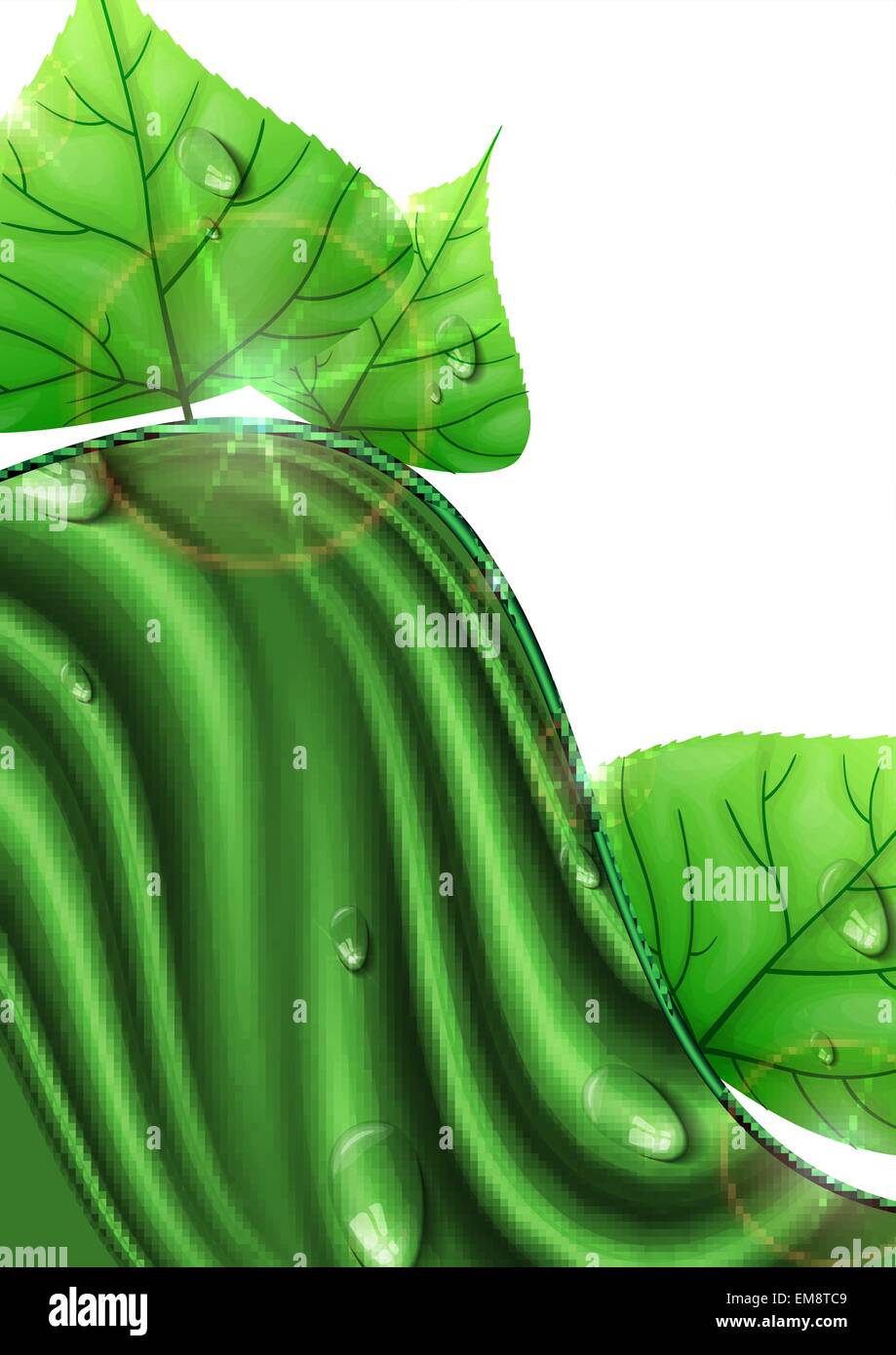 Eco Green Background With Leaves Stock Vector Image & Art - Alamy