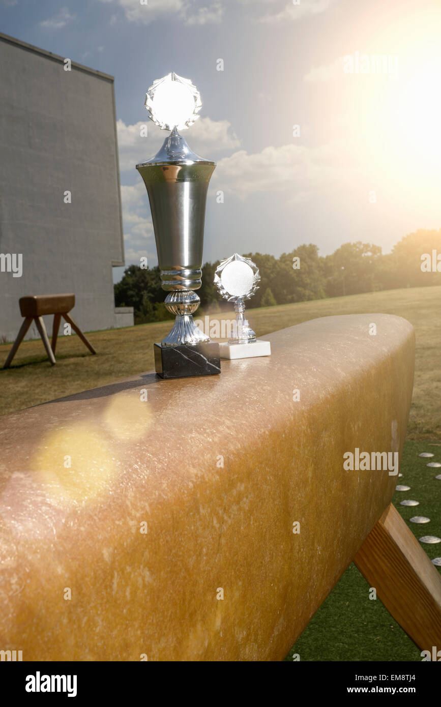 Two gymnast trophies on top of sunlit gymnastic vault Stock Photo