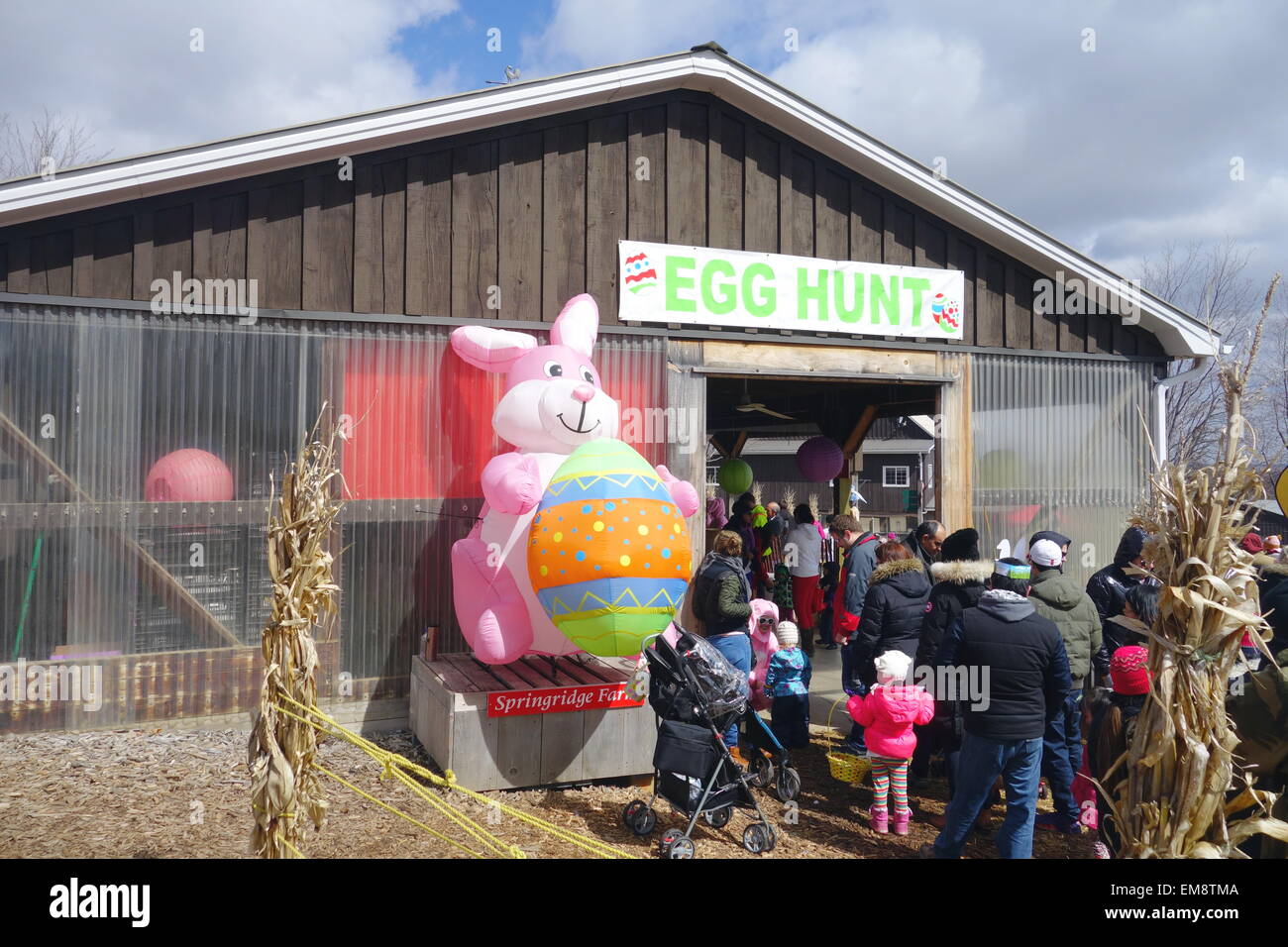 Easter egg hunt at a farm in Ontario, Canada Stock Photo