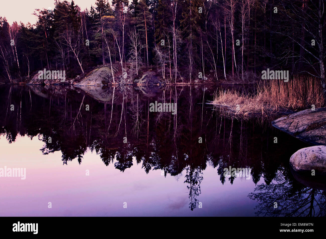 Calm sea waters on twilight time with tree mirror on surface.Instagram-like retro filter added Stock Photo
