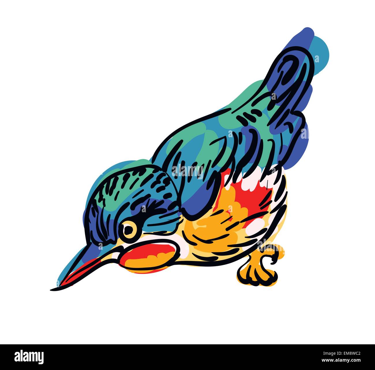 Vector drawing of the bird Stock Vector Image & Art - Alamy
