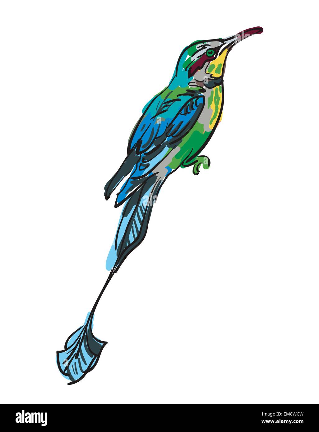 Vector drawing of the bird Stock Vector Image & Art Alamy