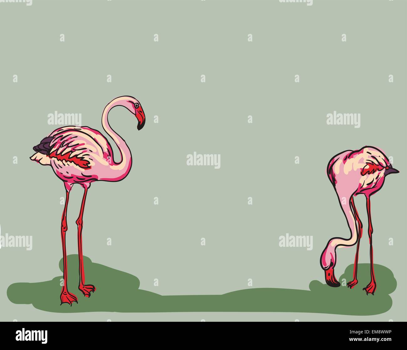 Painted flamingo bird - vector illustration Stock Vector Image & Art ...