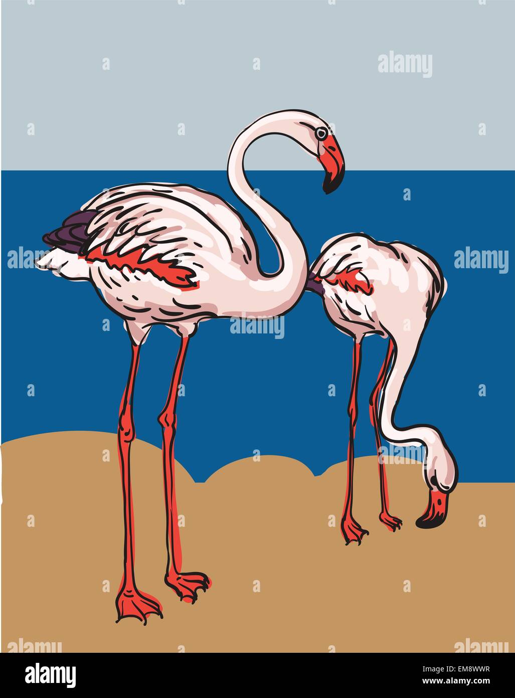 Flamingo bird Stock Vector Images - Alamy