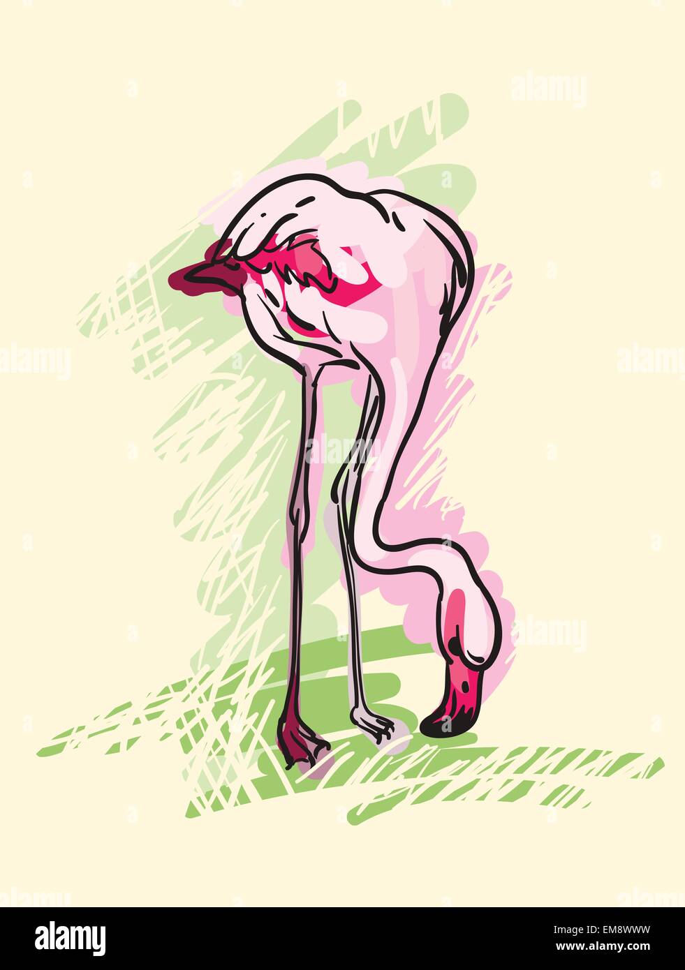 Painted flamingo bird - vector illustration Stock Vector Image & Art ...